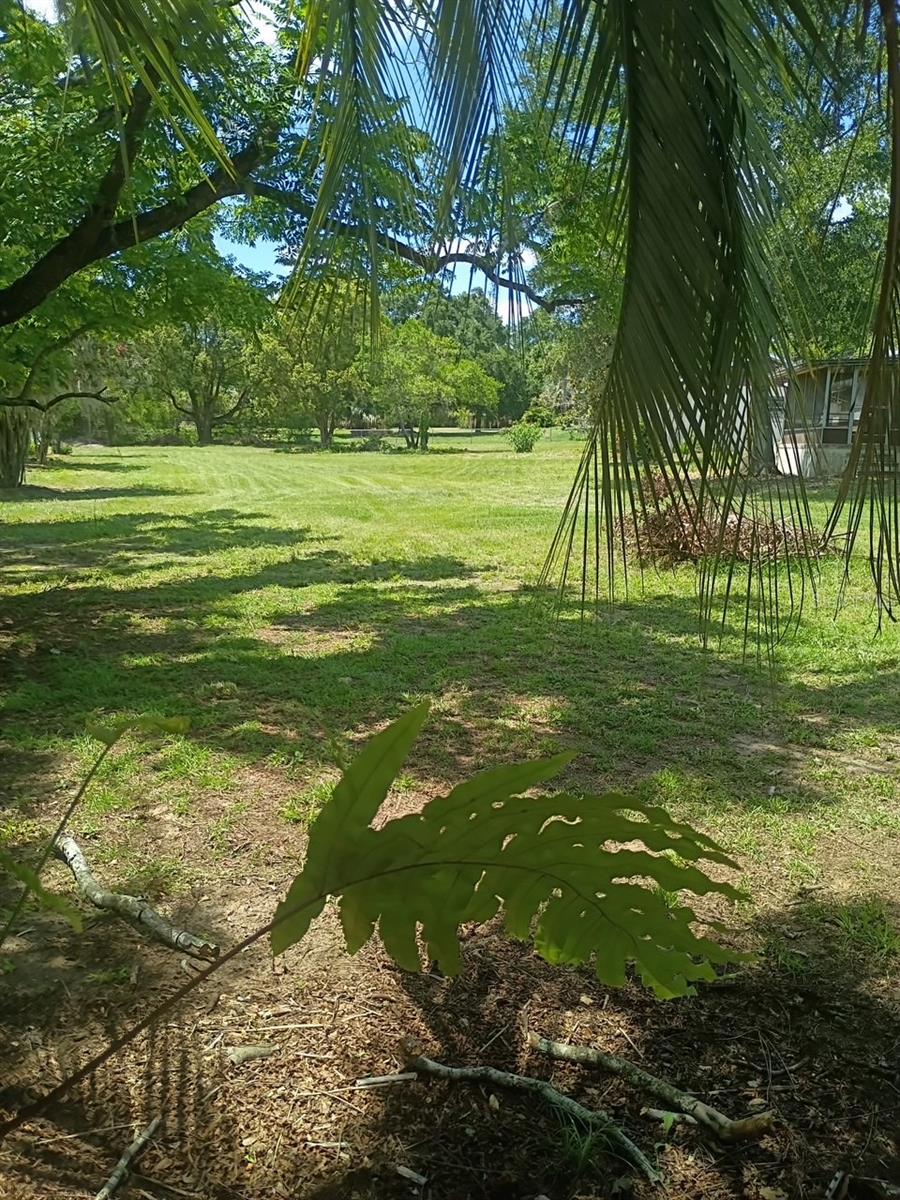 37247 NORTHSIDE DR, ZEPHYRHILLS, FL — photo 29