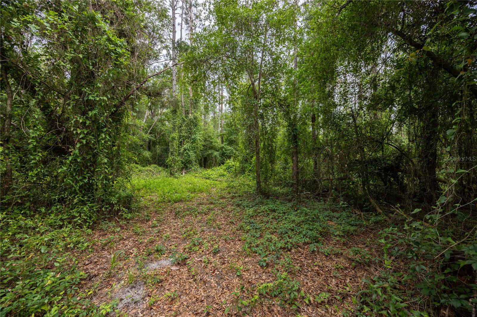 229 SW BARWICK TER, LAKE CITY, FL — photo 33
