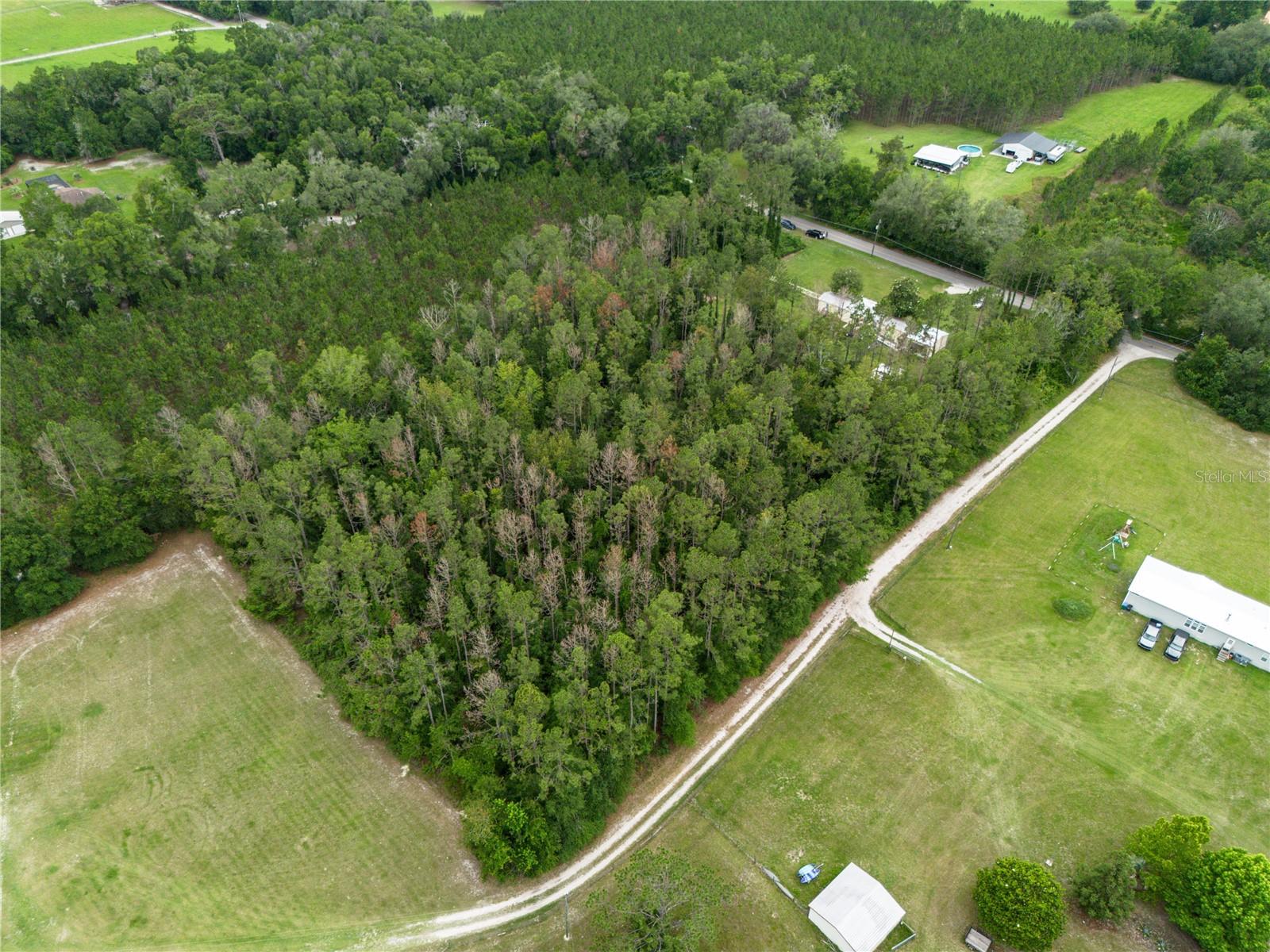 229 SW BARWICK TER, LAKE CITY, FL — photo 53