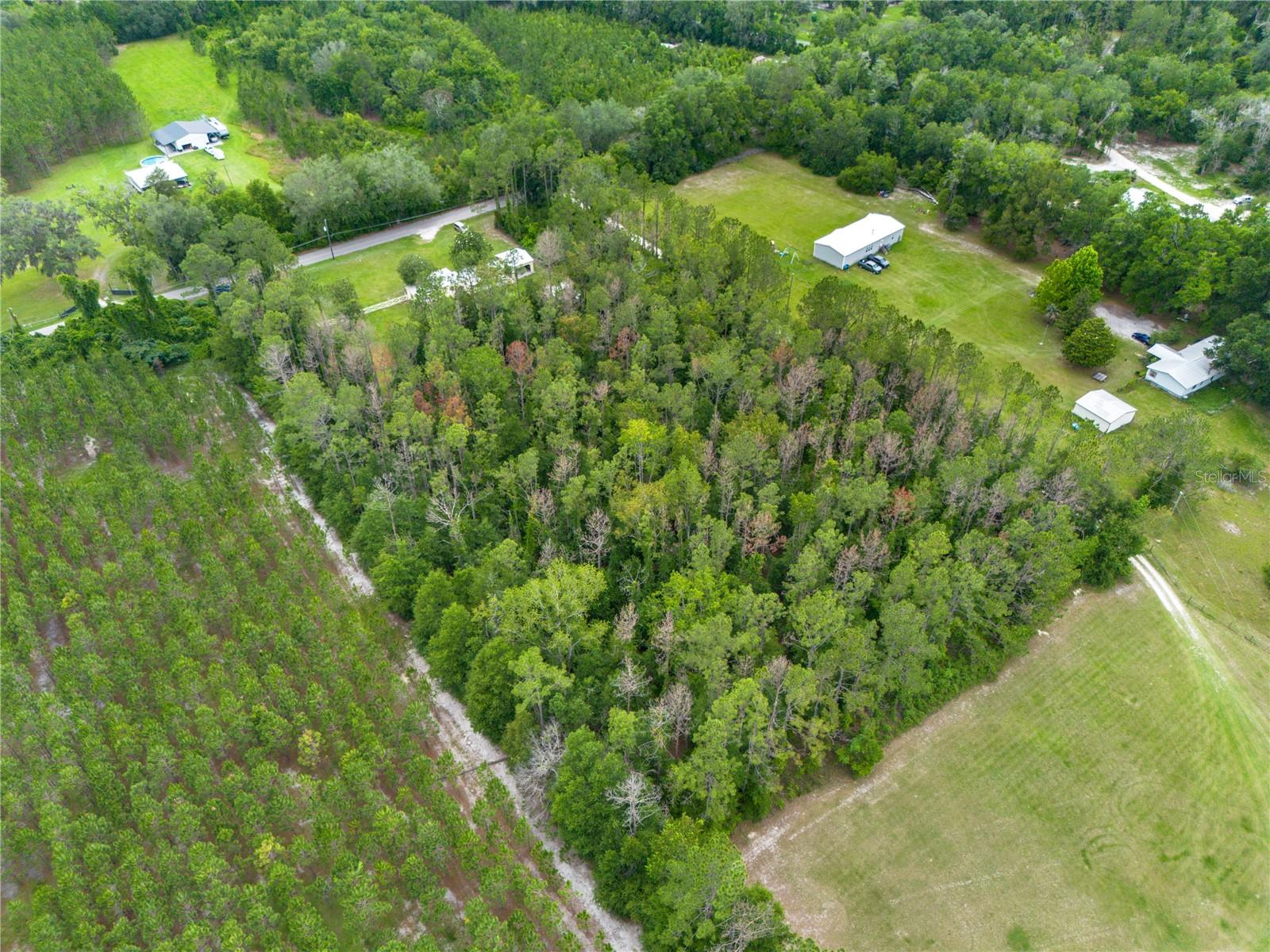 229 SW BARWICK TER, LAKE CITY, FL — photo 54