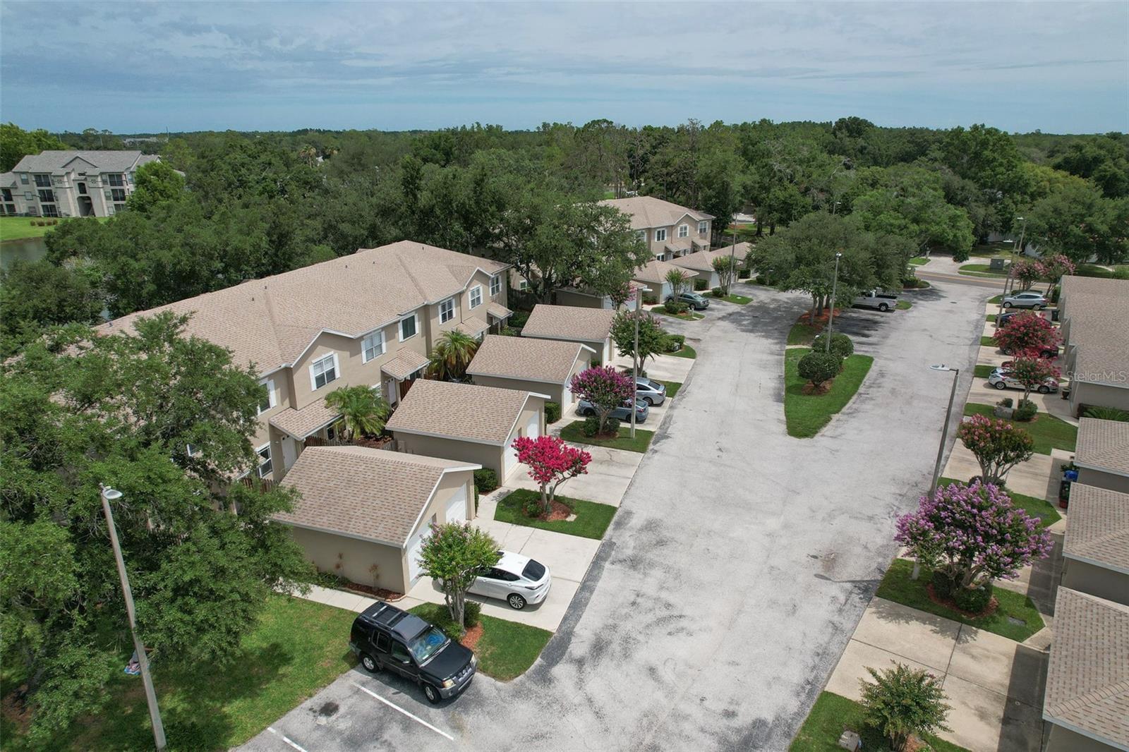 18504 PEBBLE LAKE CT, TAMPA, FL — photo 6