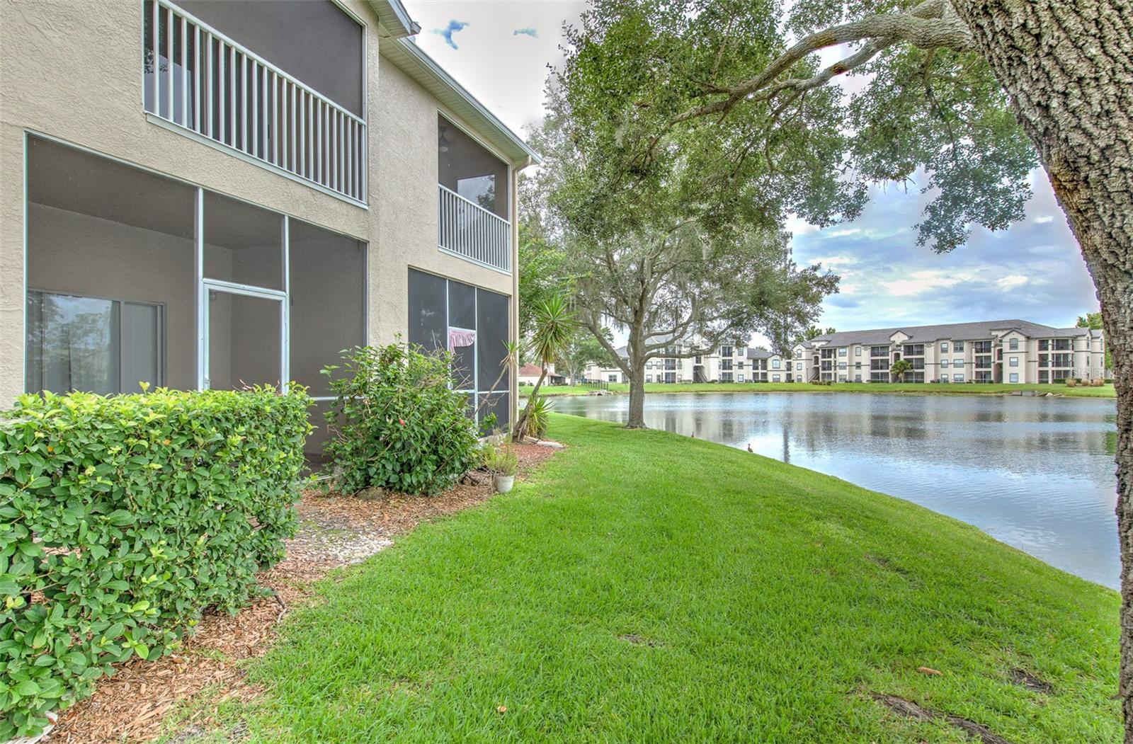 18504 PEBBLE LAKE CT, TAMPA, FL — photo 13