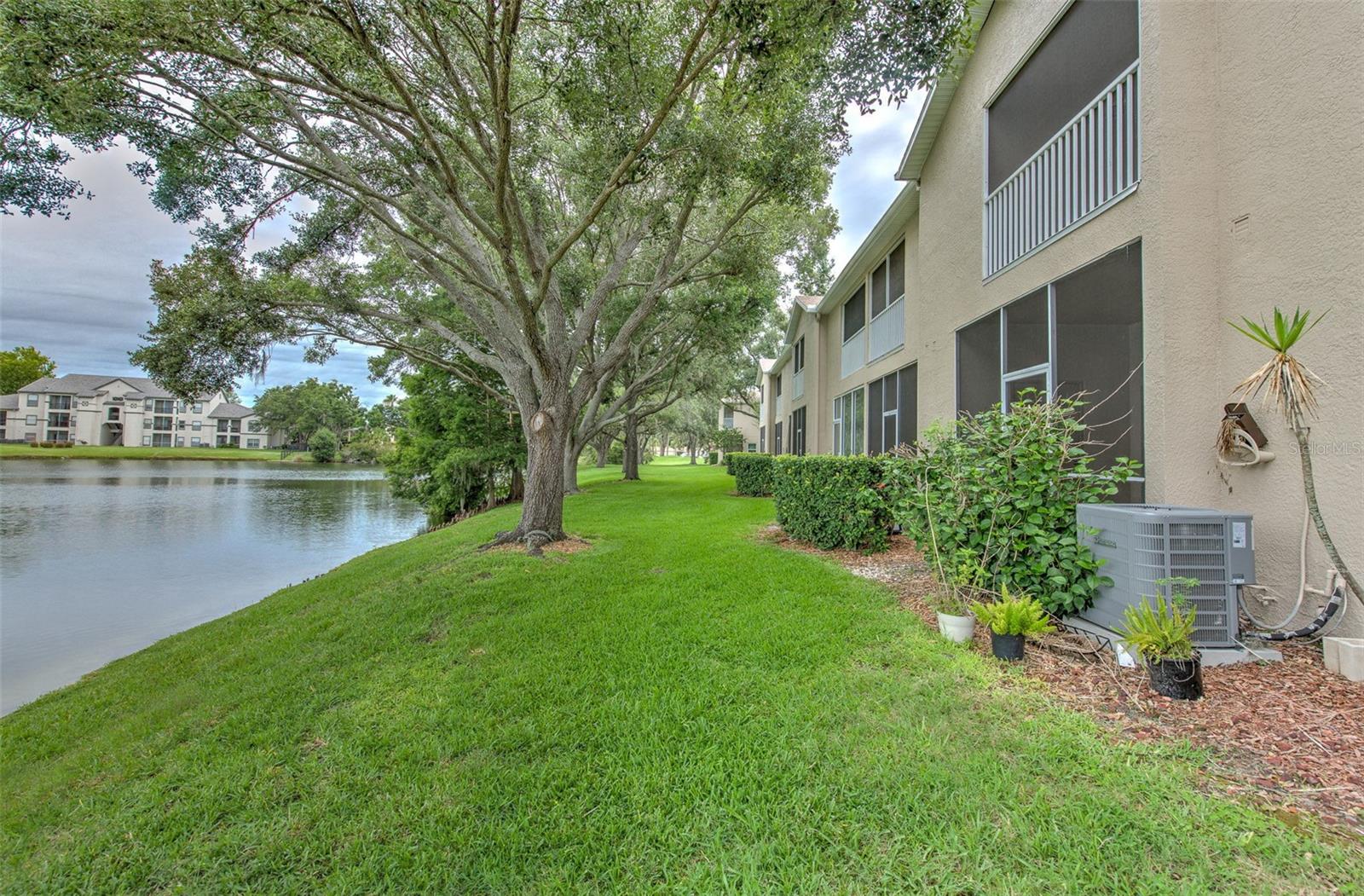 18504 PEBBLE LAKE CT, TAMPA, FL — photo 14