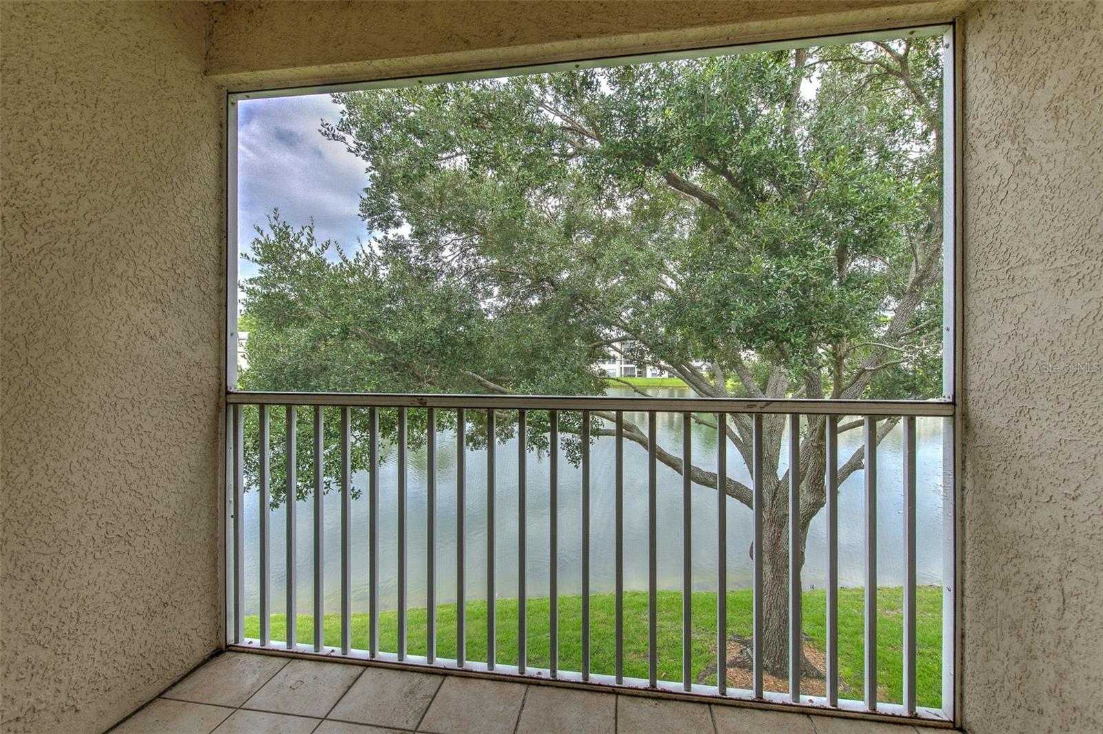 18504 PEBBLE LAKE CT, TAMPA, FL — photo 39