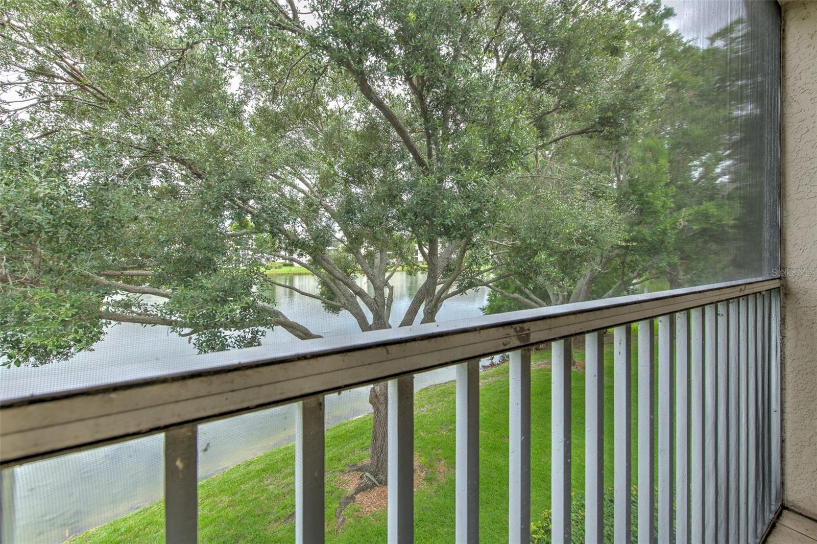 18504 PEBBLE LAKE CT, TAMPA, FL — photo 41