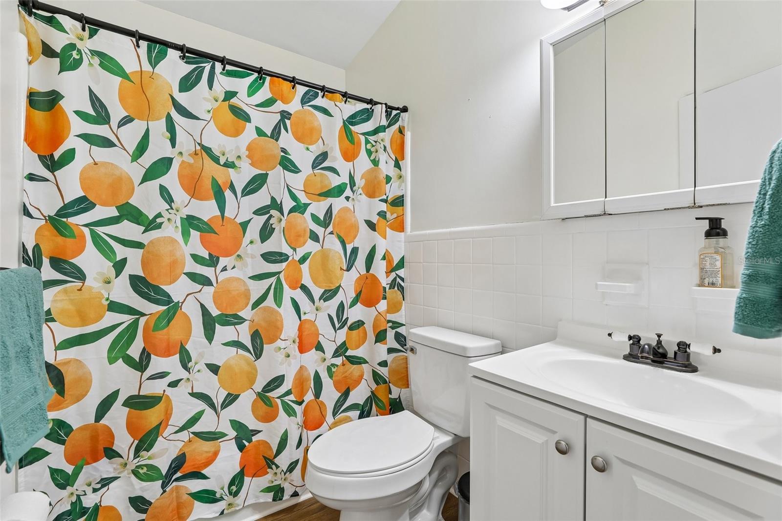 3707 MARCH AVE, ORLANDO, FL — photo 19