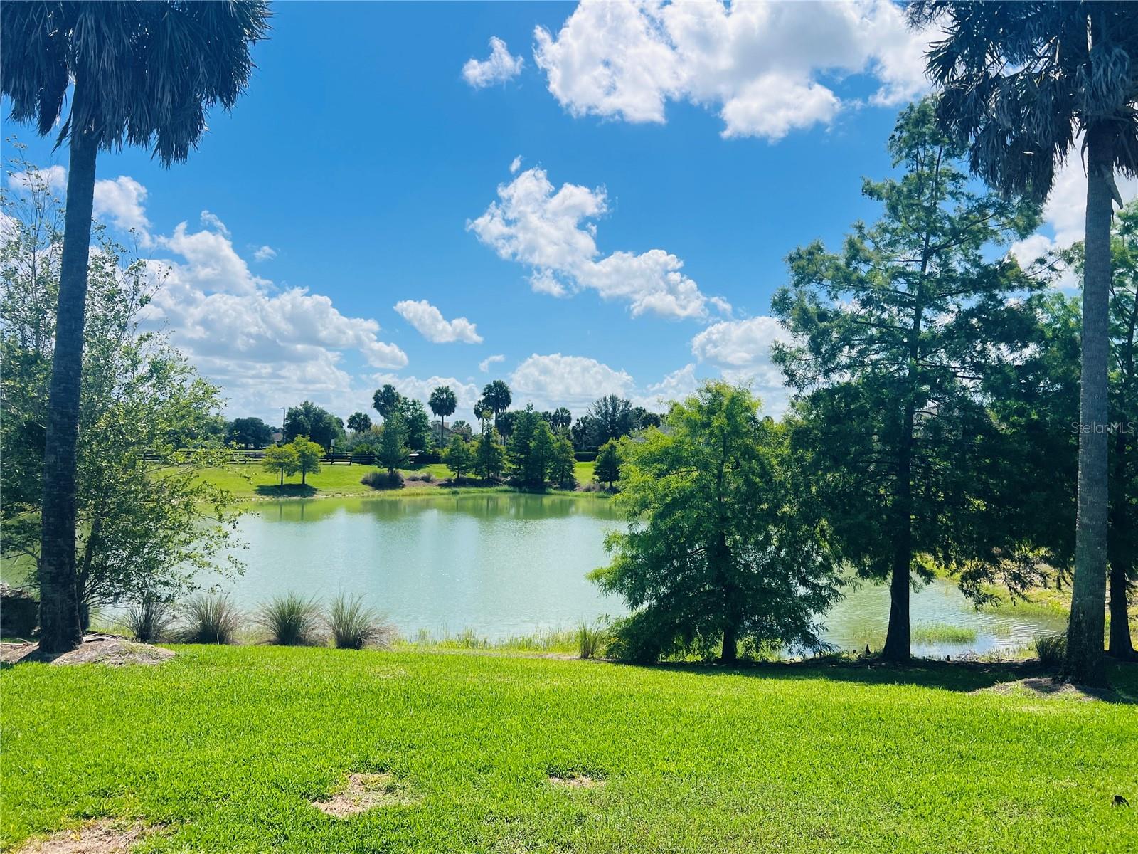 5833 ABNEY AVE, THE VILLAGES, FL — photo 6