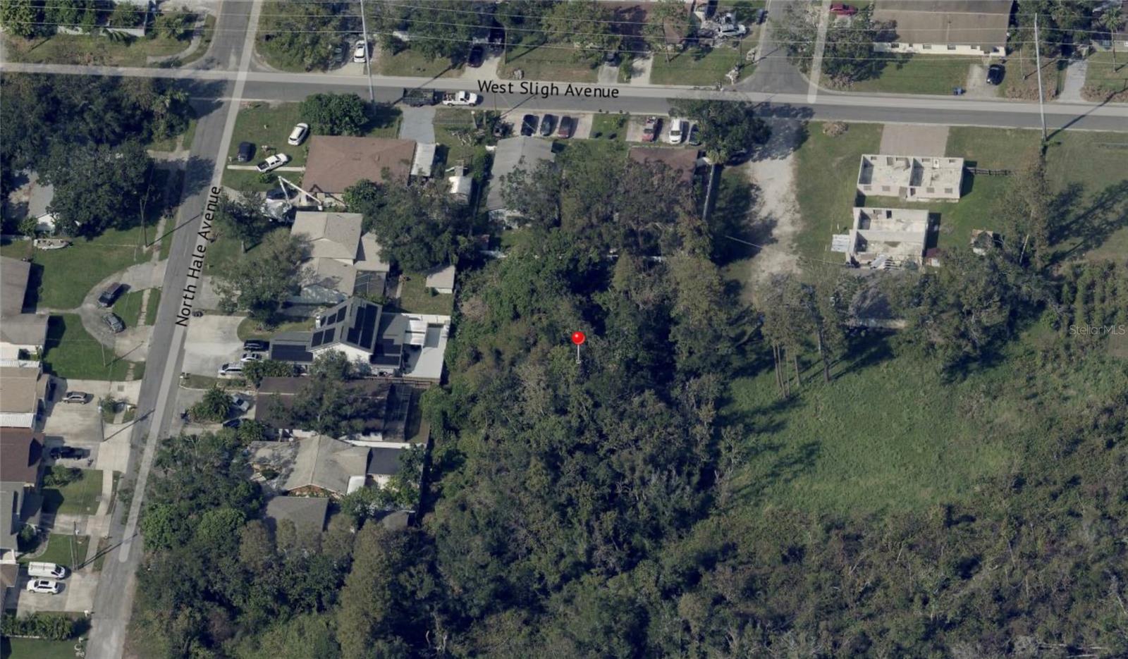 BLOSSOM AVE, TAMPA, FL — photo 3