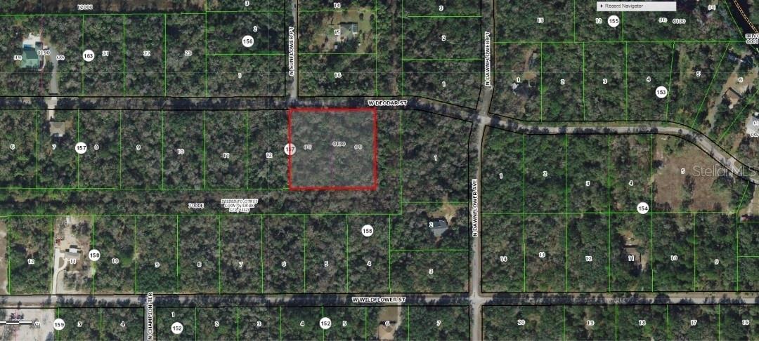 11924 W DEODAR ST, CRYSTAL RIVER, FL — photo 2