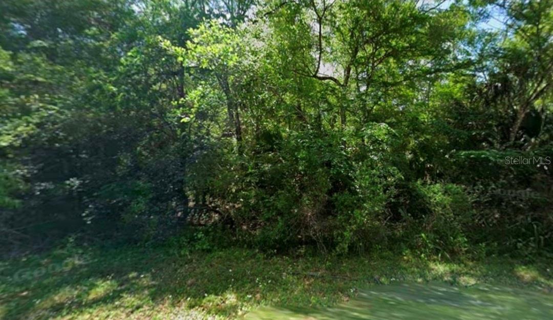 11924 W DEODAR ST, CRYSTAL RIVER, FL — photo 3