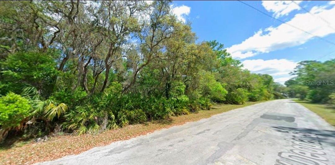 11924 W DEODAR ST, CRYSTAL RIVER, FL — photo 4