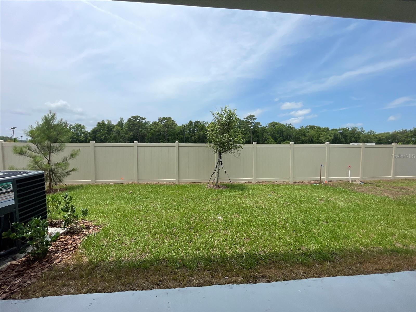 11127 CRESCENT DEER DR, LAND O LAKES, FL — photo 21