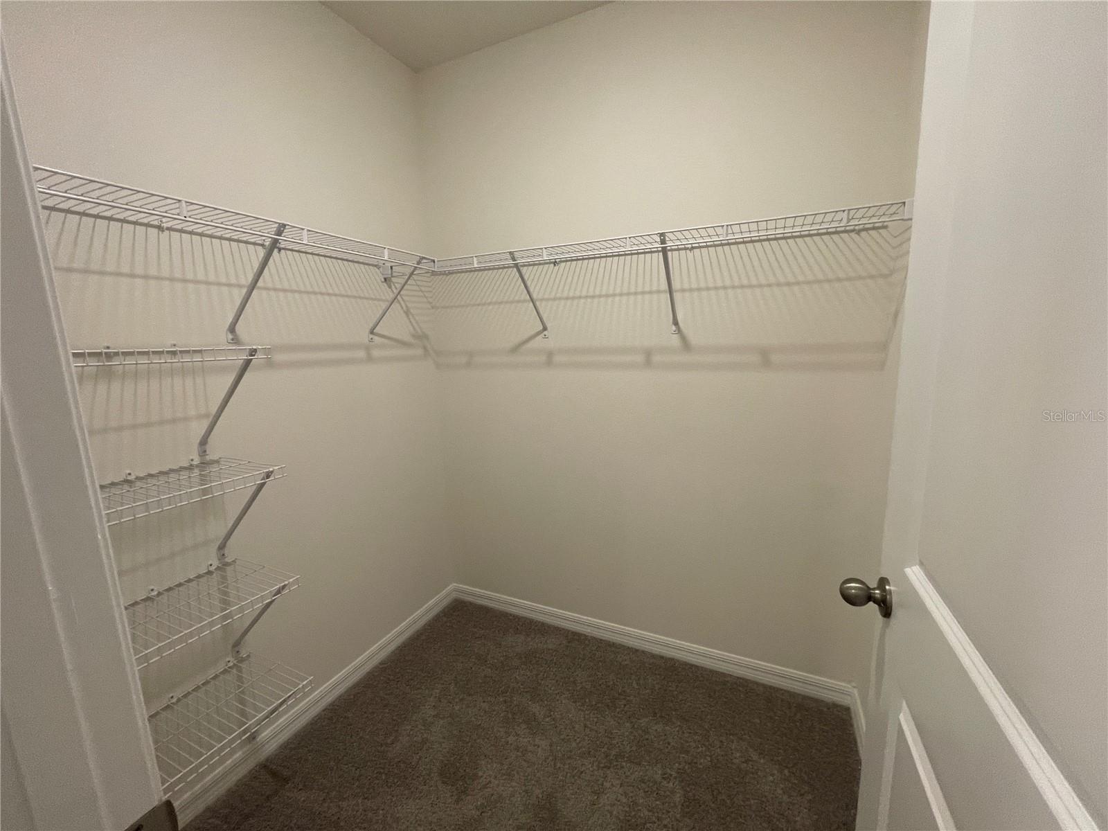 11127 CRESCENT DEER DR, LAND O LAKES, FL — photo 35