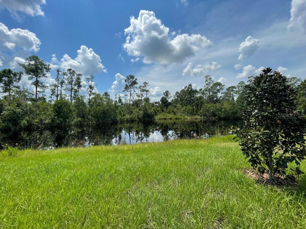 1529 VENICE LN, DAVENPORT, FL — photo 14