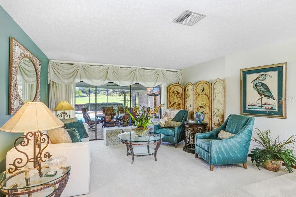 2809 FAIRWAY VIEW DR, VALRICO, FL — photo 7