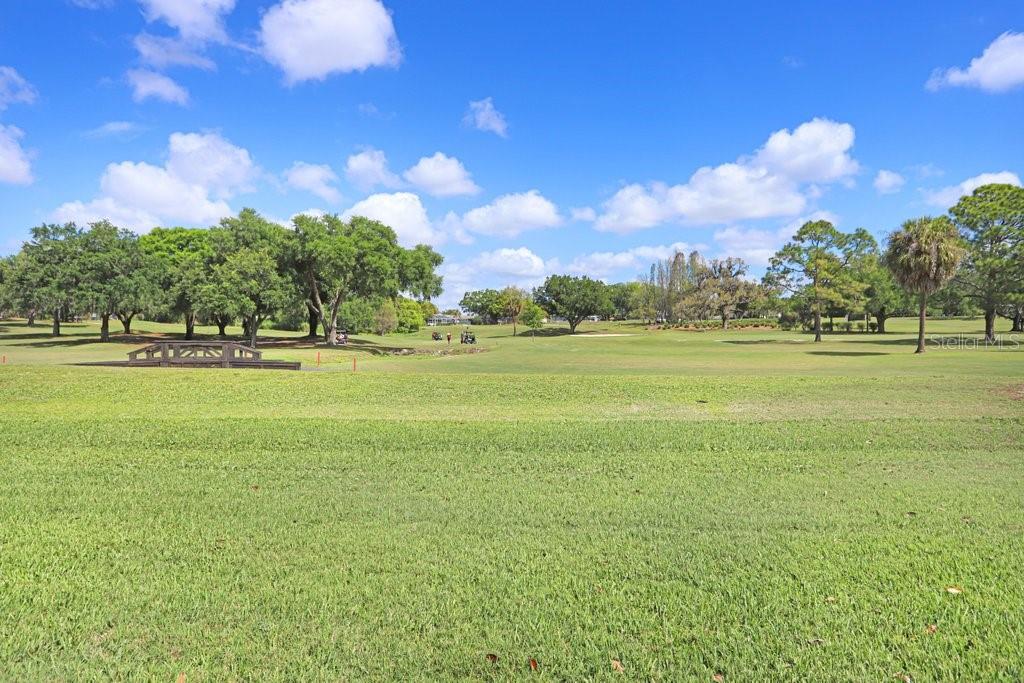 2809 FAIRWAY VIEW DR, VALRICO, FL — photo 37