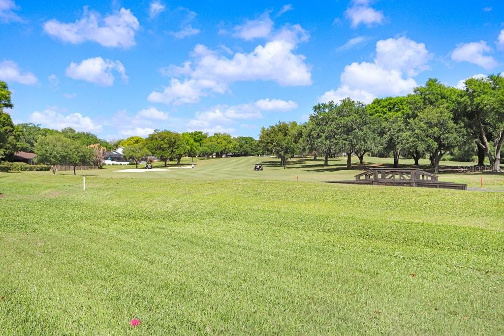 2809 FAIRWAY VIEW DR, VALRICO, FL — photo 38
