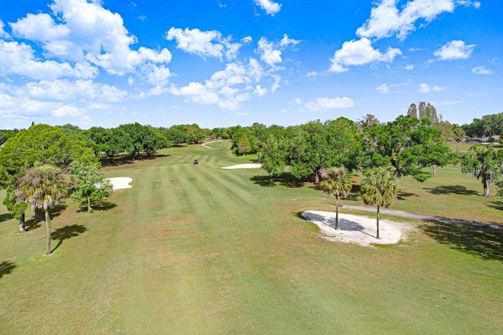 2809 FAIRWAY VIEW DR, VALRICO, FL — photo 42