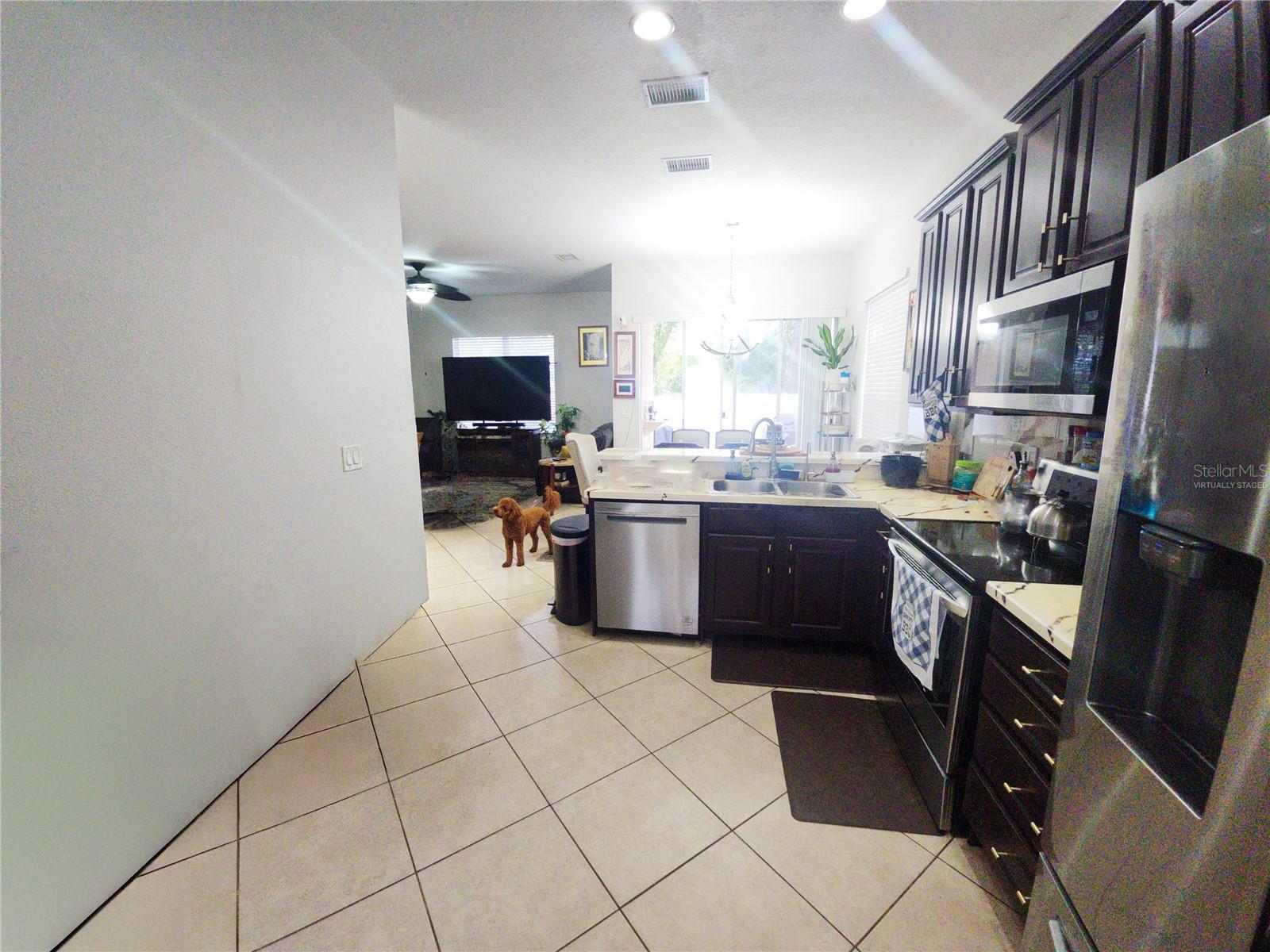 8604 TIDAL BREEZE DR, RIVERVIEW, FL — photo 12