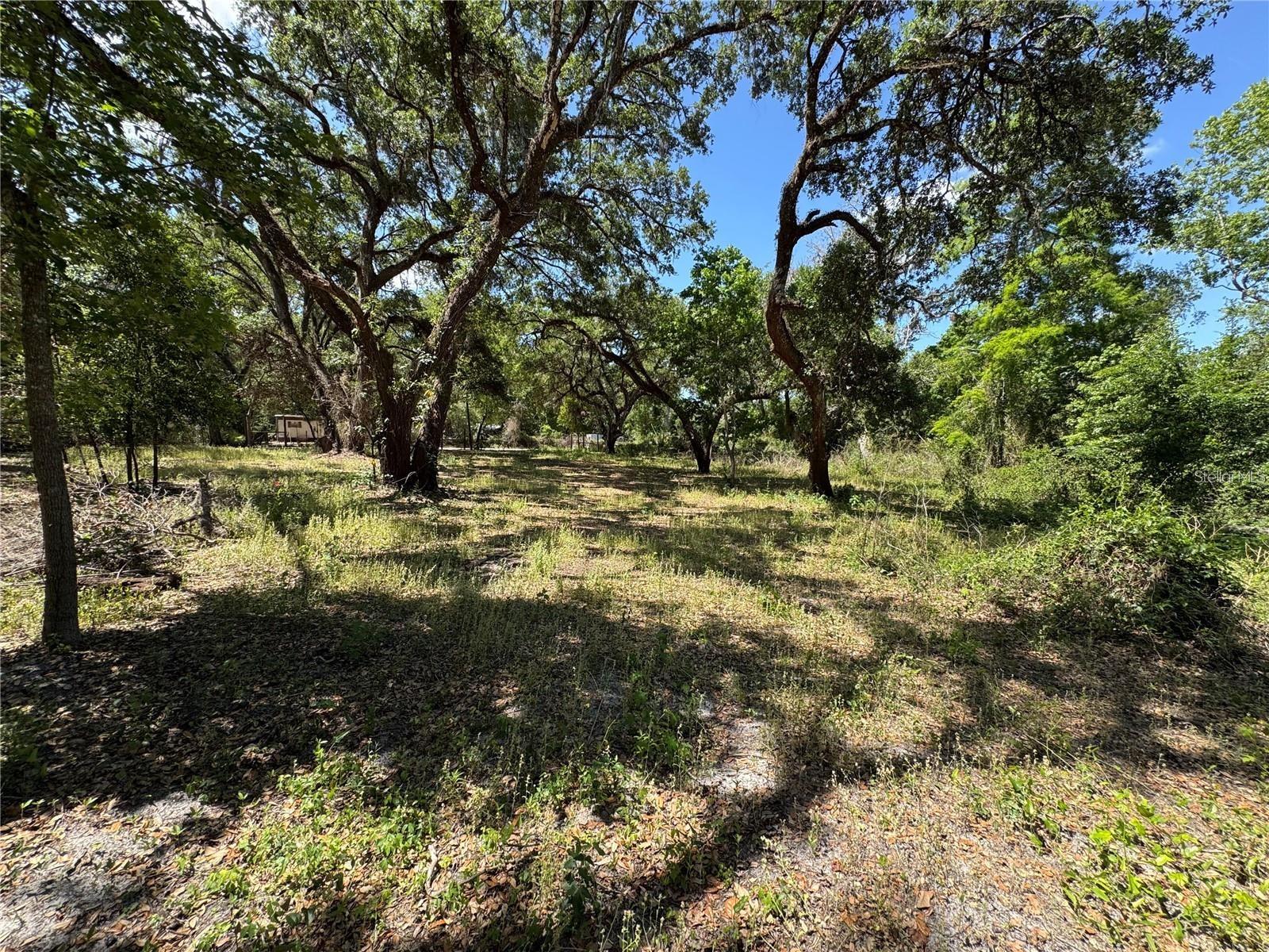 TANNAHILL ST, DADE CITY, FL — photo 2