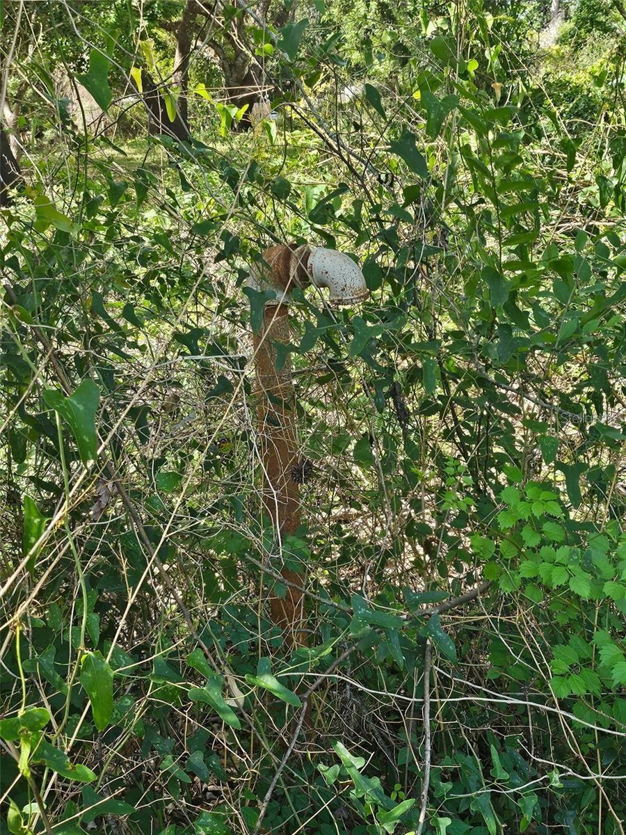 TANNAHILL ST, DADE CITY, FL — photo 4