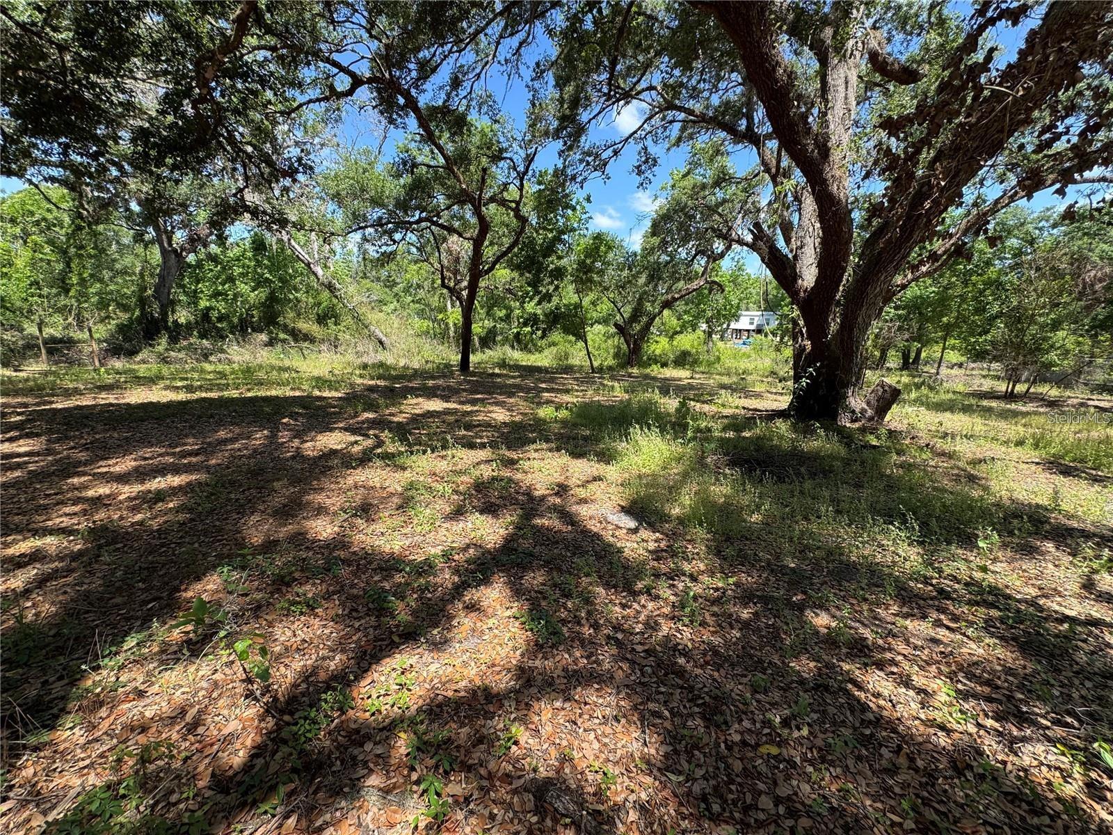 TANNAHILL ST, DADE CITY, FL — photo 5
