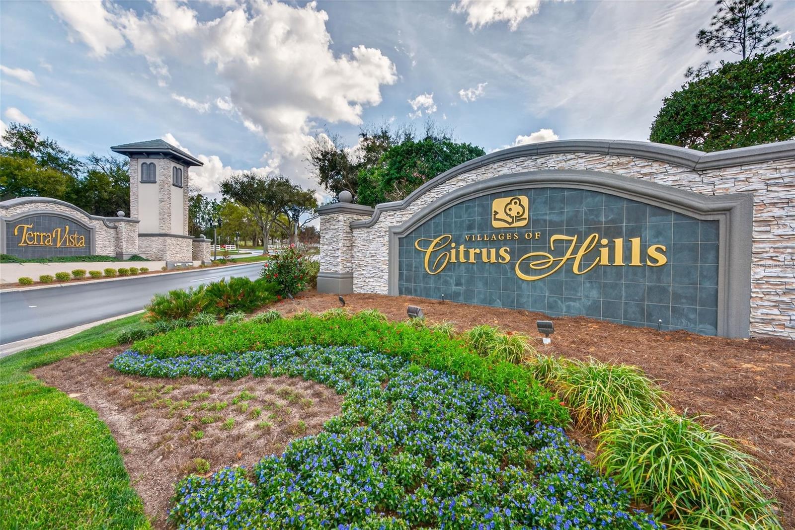 1105 W POINTE VISTA PATH #43, HERNANDO, FL — photo 46