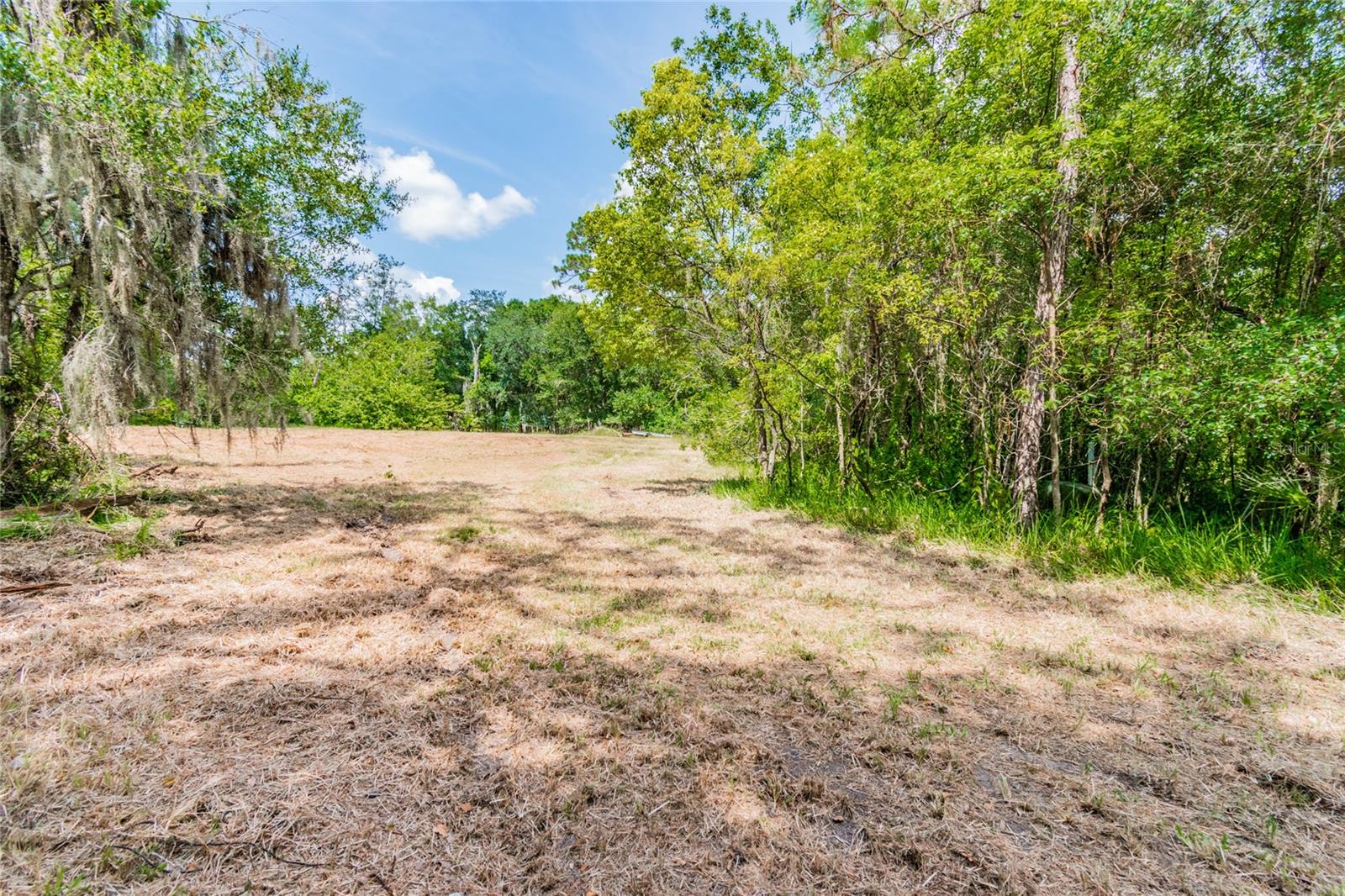1758 LAND O LAKES BLVD, LUTZ, FL — photo 5