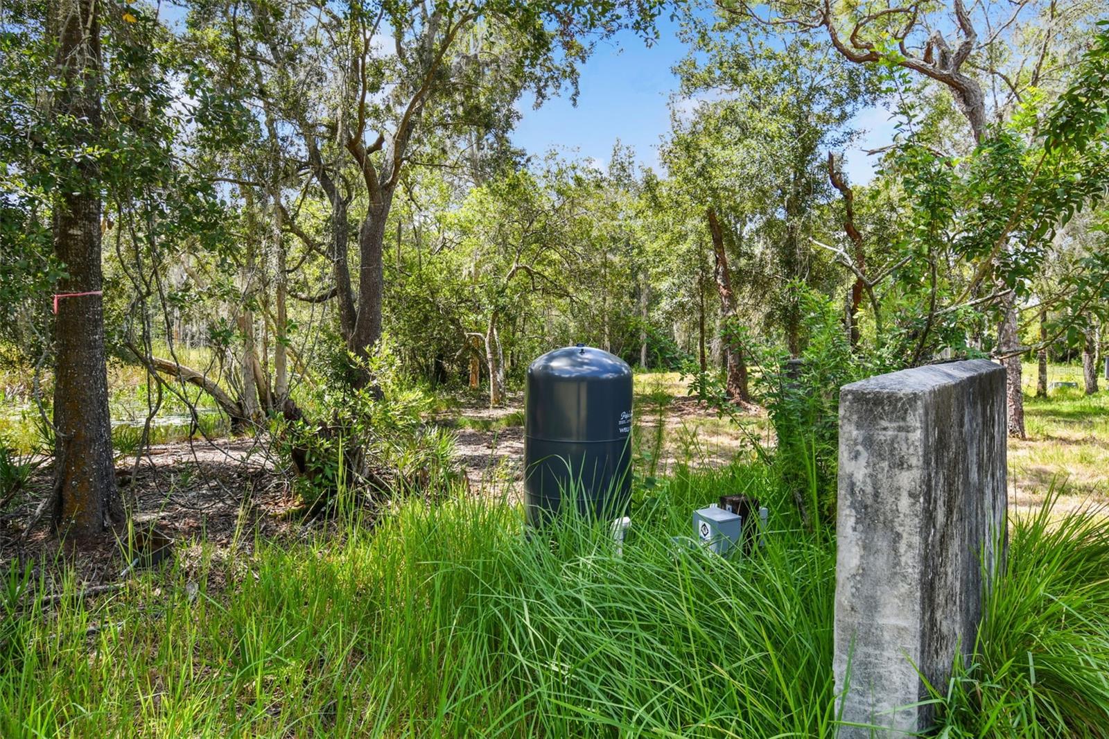 1758 LAND O LAKES BLVD, LUTZ, FL — photo 12