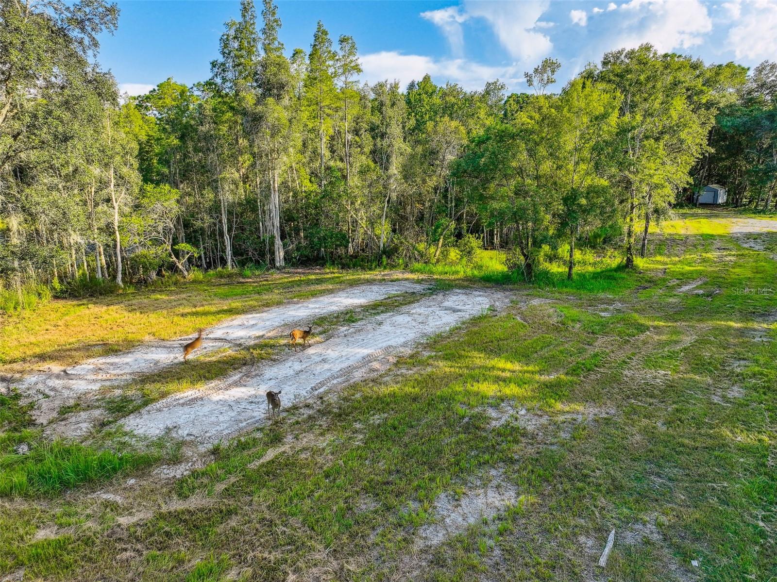 1758 LAND O LAKES BLVD, LUTZ, FL — photo 16