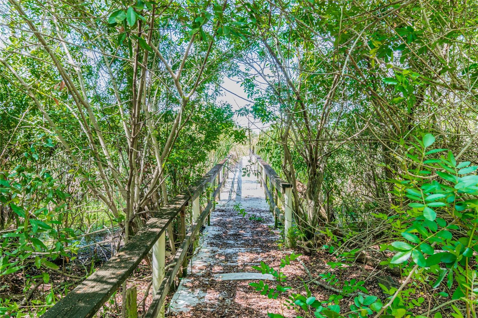 1758 LAND O LAKES BLVD, LUTZ, FL — photo 20