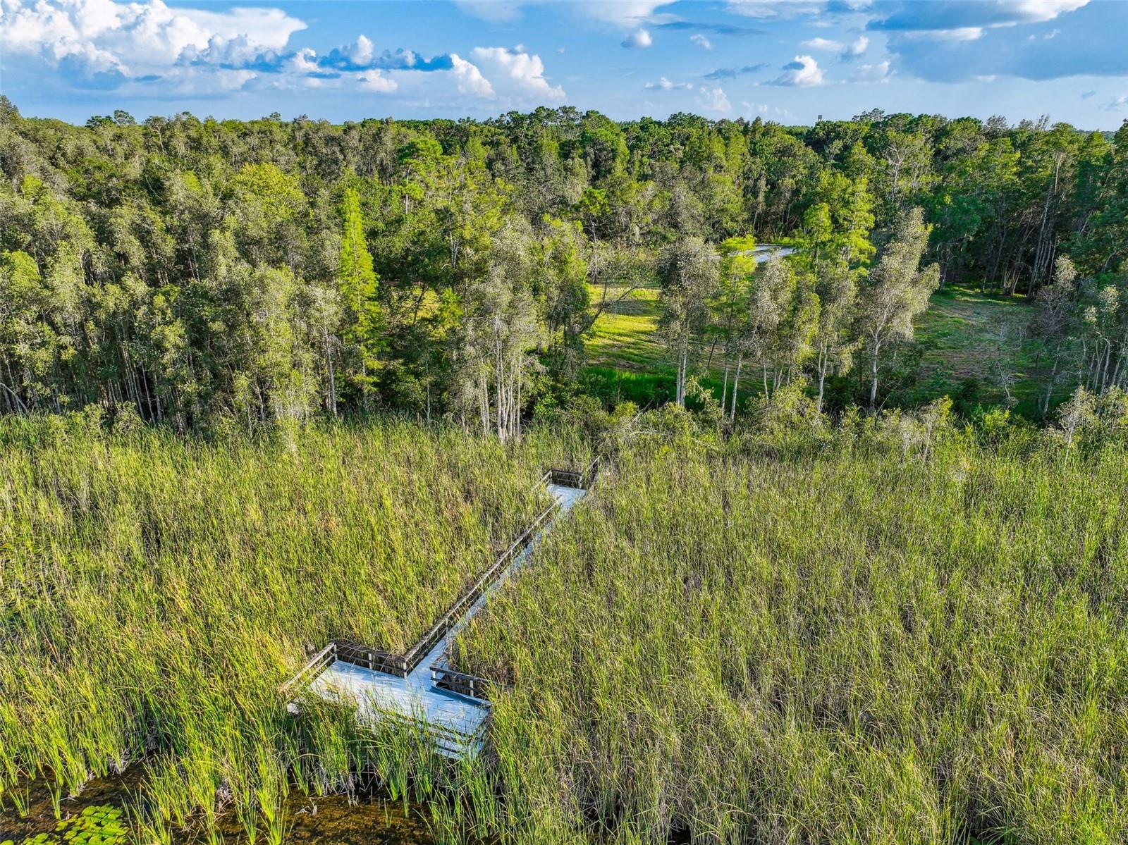 1758 LAND O LAKES BLVD, LUTZ, FL — photo 21