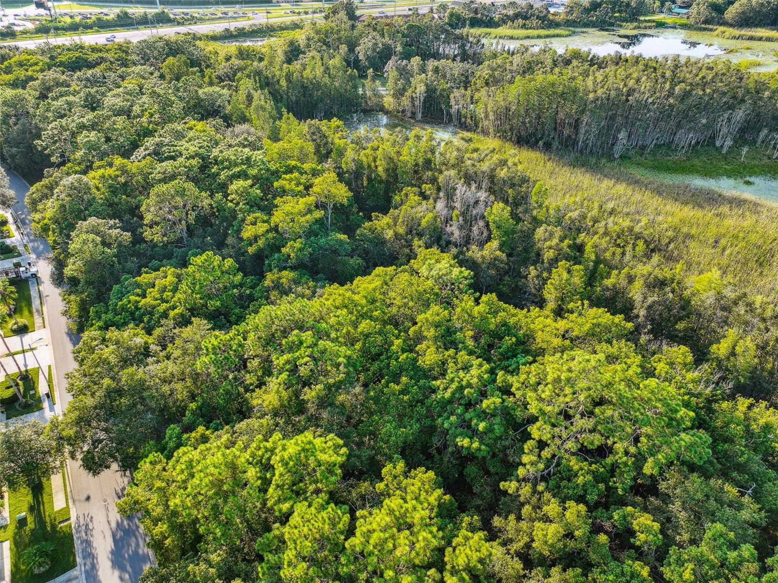 1758 LAND O LAKES BLVD, LUTZ, FL — photo 22