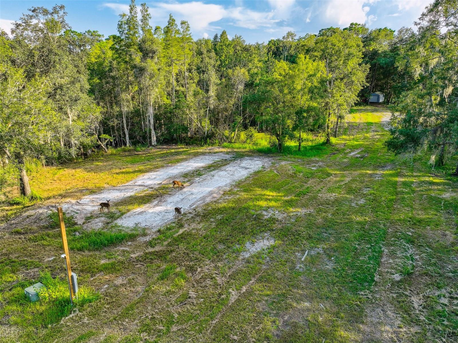 1758 LAND O LAKES BLVD, LUTZ, FL — photo 33