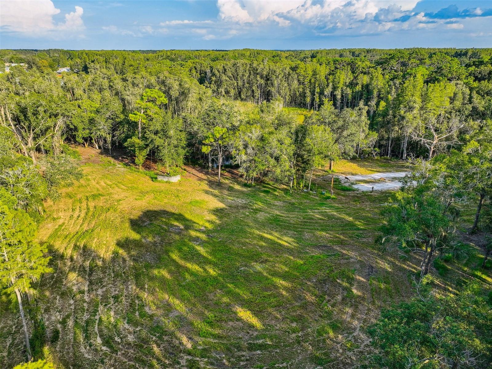 1758 LAND O LAKES BLVD, LUTZ, FL — photo 34