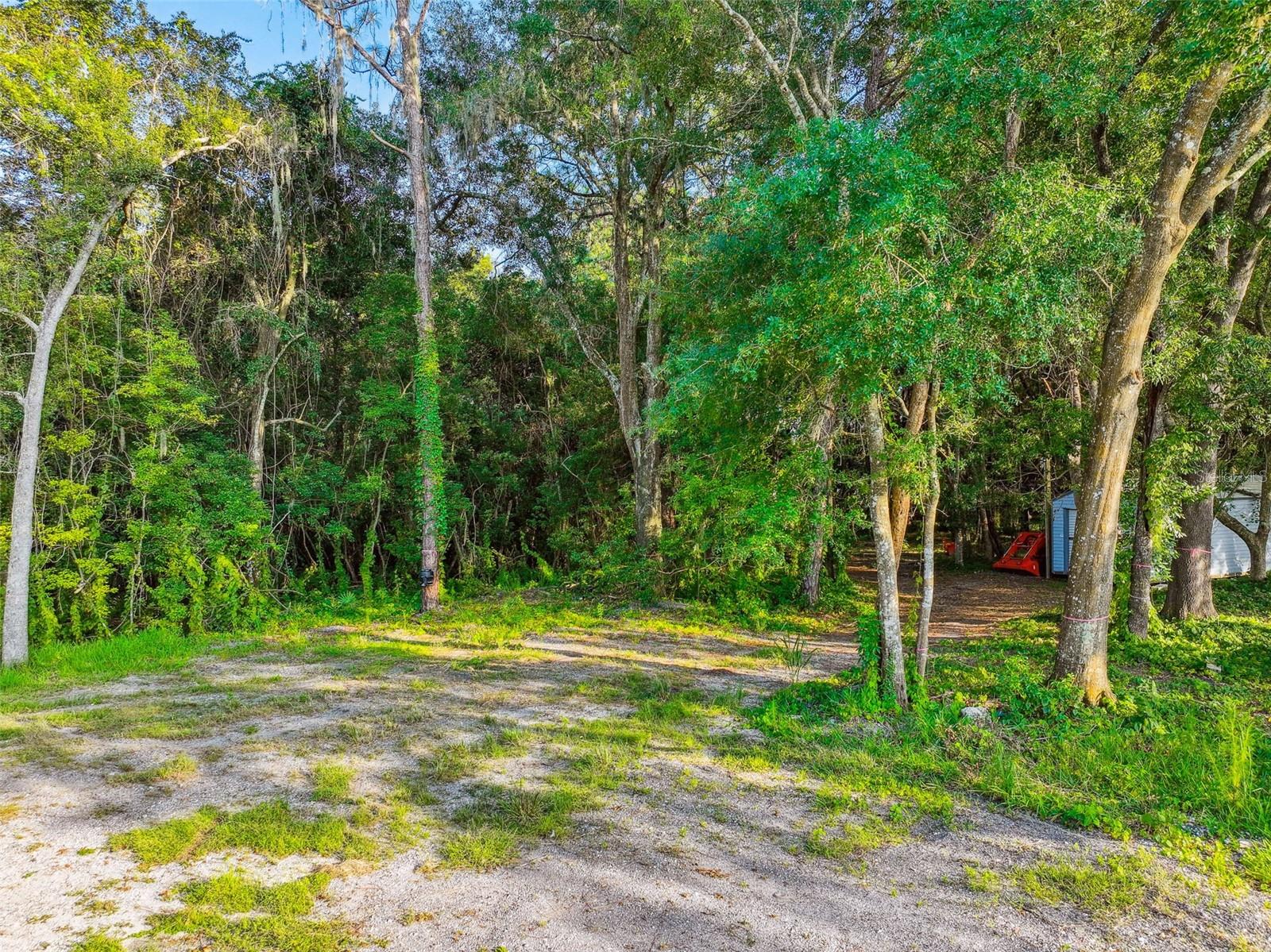 1758 LAND O LAKES BLVD, LUTZ, FL — photo 39