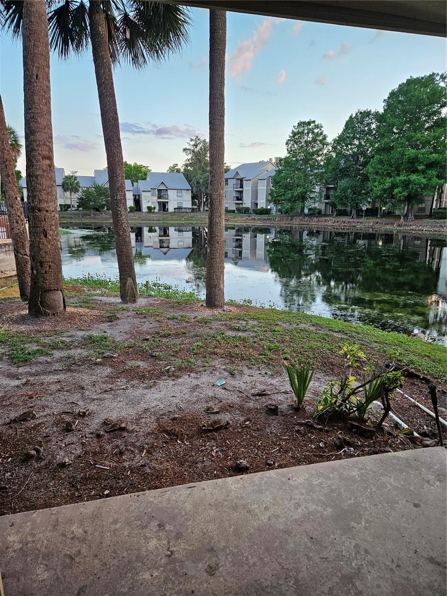 1908 LAKE ATRIUMS CIR #15, ORLANDO, FL — photo 15