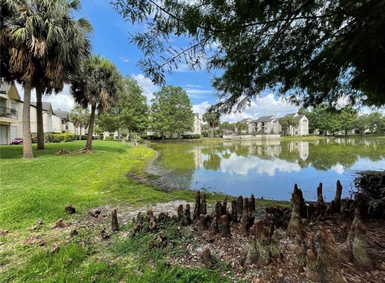 1908 LAKE ATRIUMS CIR #15, ORLANDO, FL — photo 36