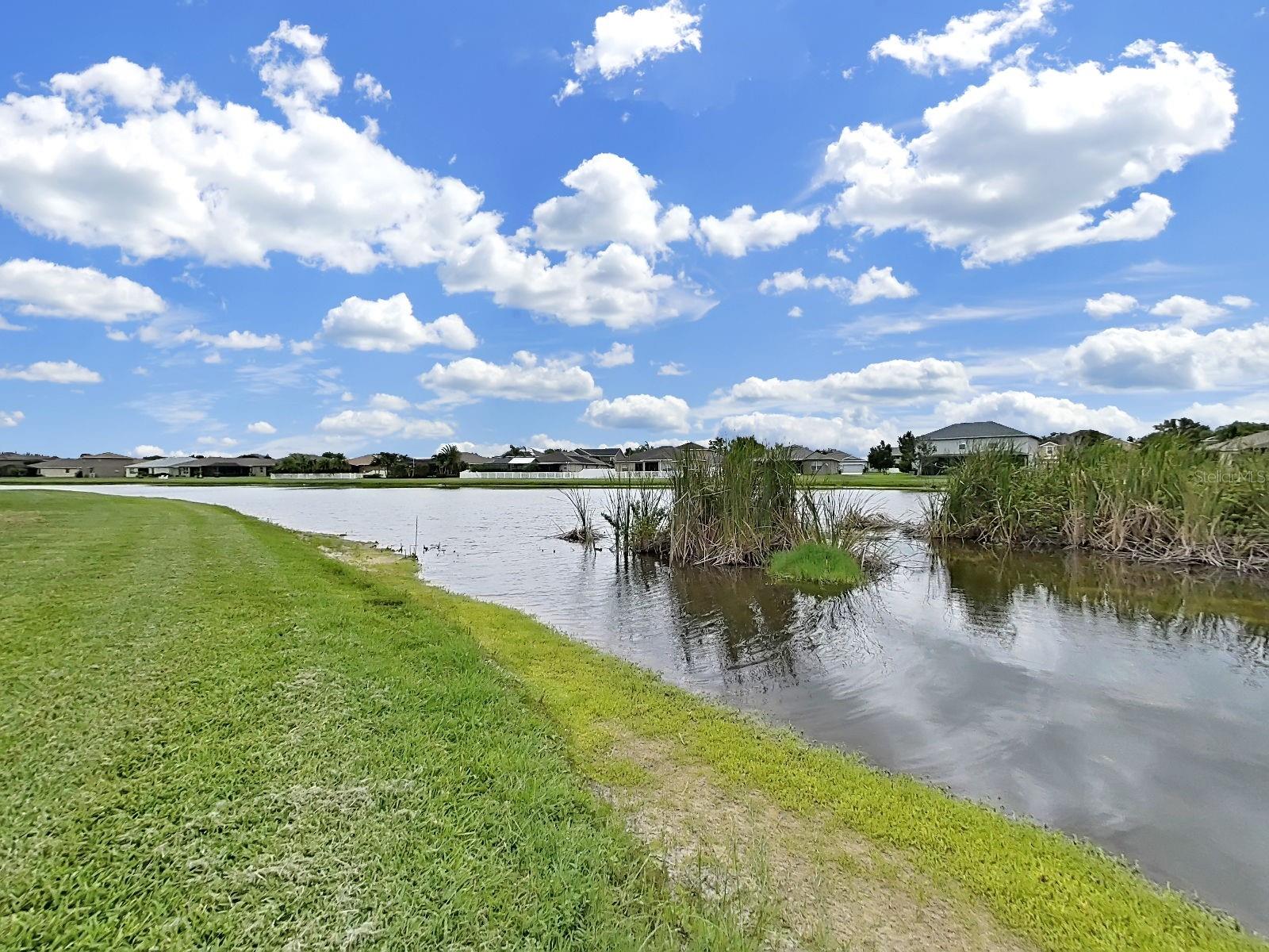 2422 ALLEGHENY VALLEY ST, RUSKIN, FL — photo 11