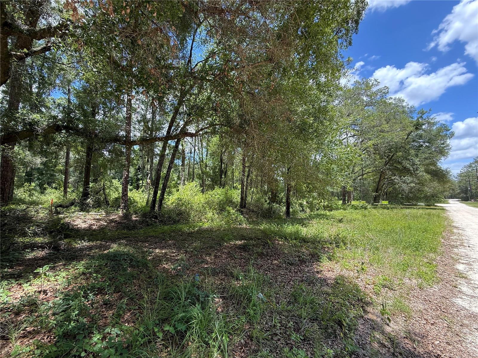 SW 53RD PL, OCALA, FL — photo 3