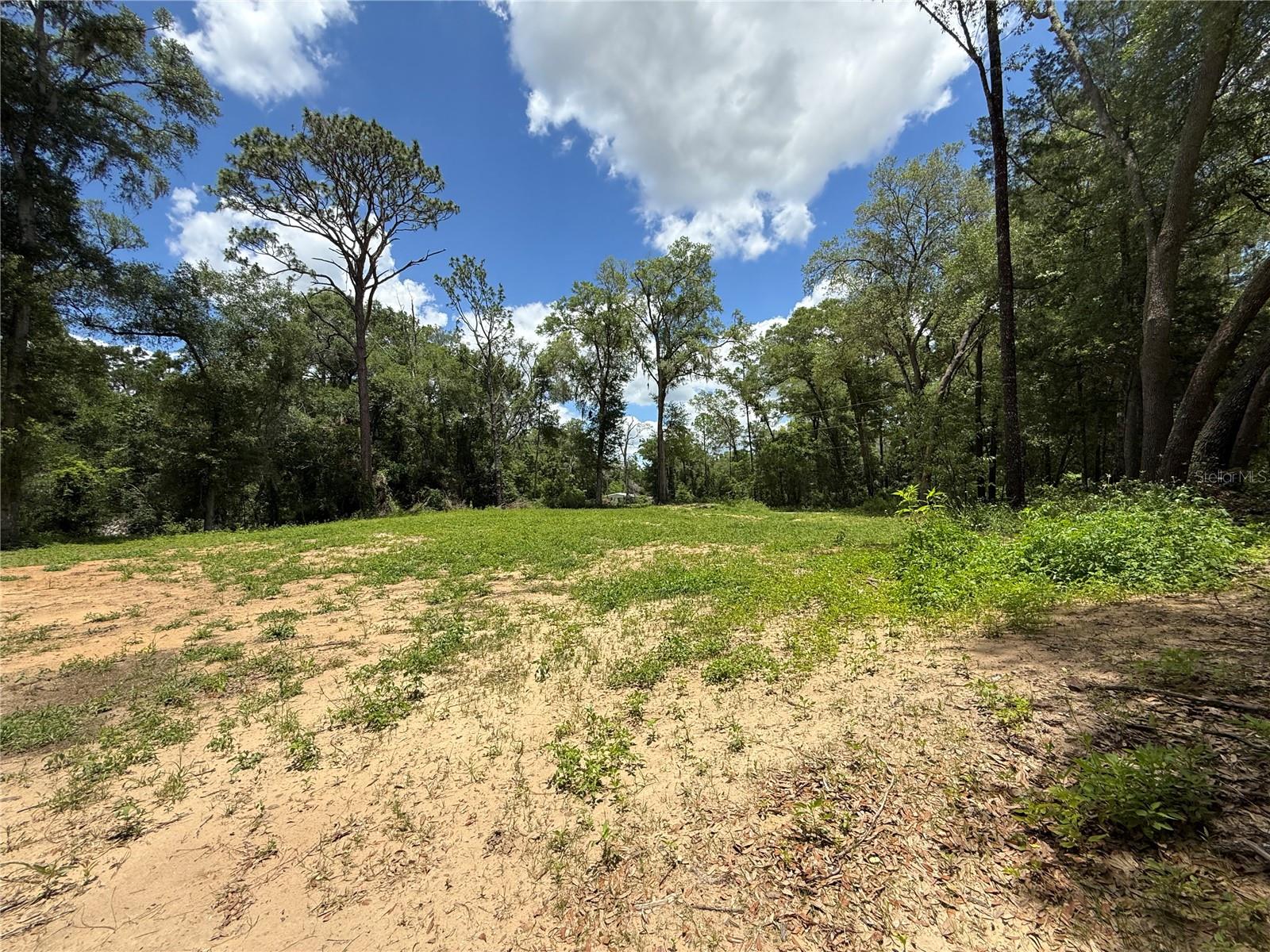 SW 53RD PL, OCALA, FL — photo 4