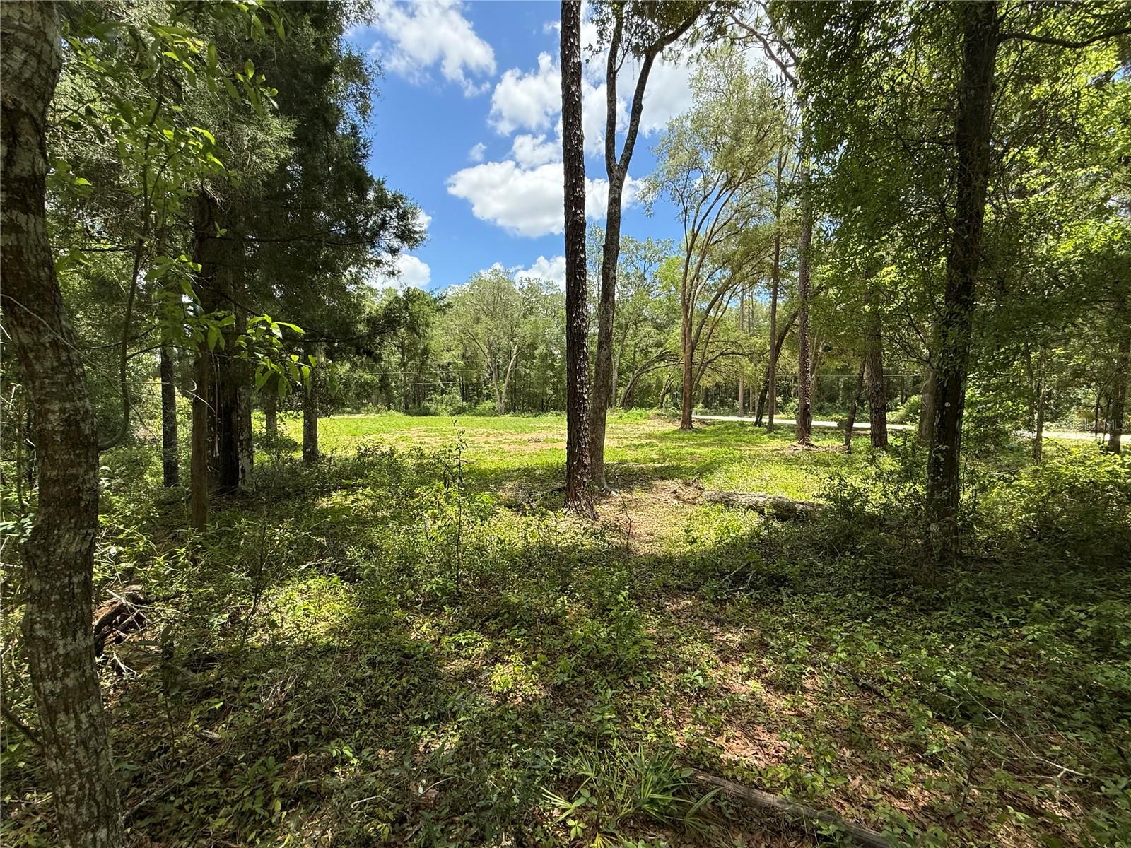 SW 53RD PL, OCALA, FL — photo 7