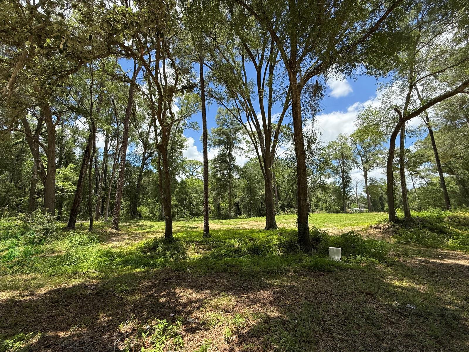 SW 53RD PL, OCALA, FL — photo 8