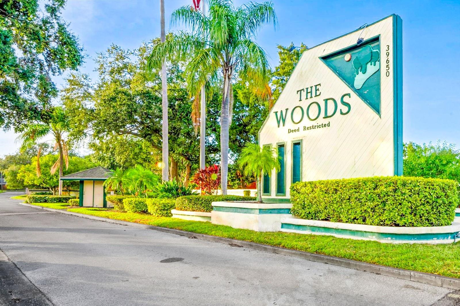 39650 US HIGHWAY 19 N #712, TARPON SPRINGS, FL — photo 36