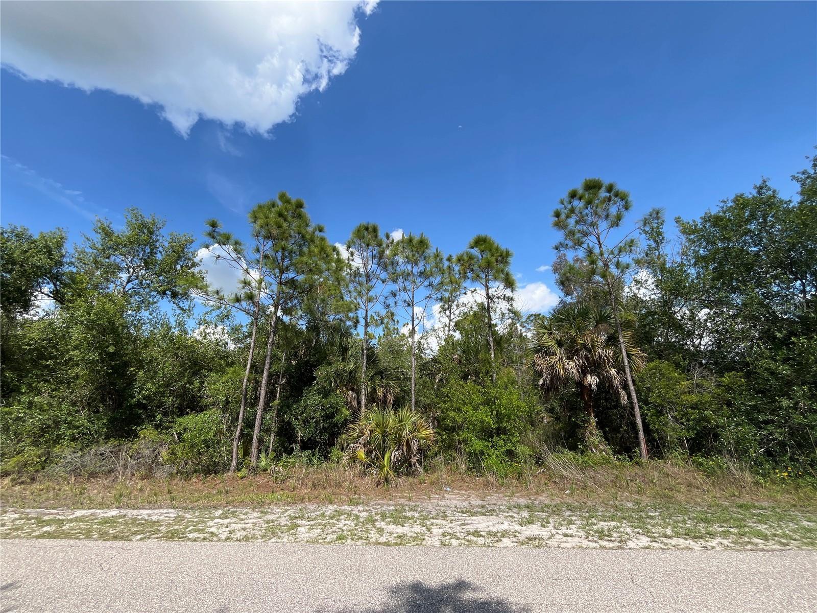 1174 SHETLAND ST, PUNTA GORDA, FL