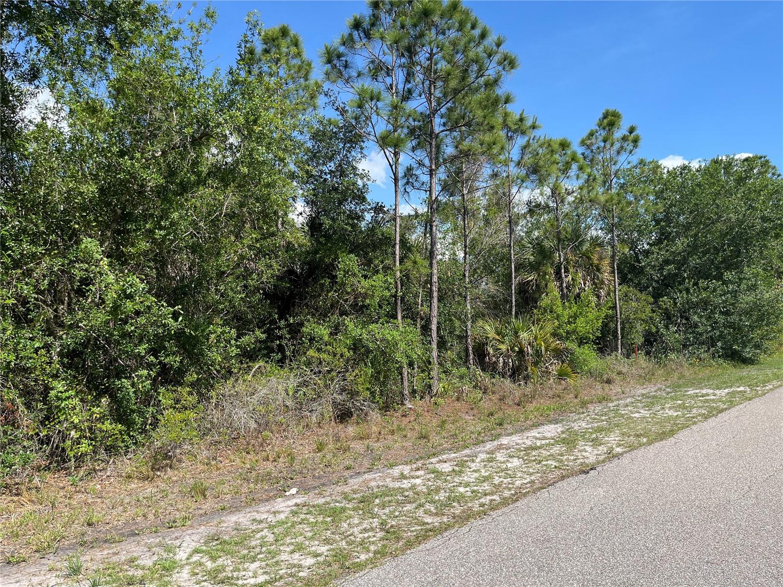 1174 SHETLAND ST, PUNTA GORDA, FL — photo 2