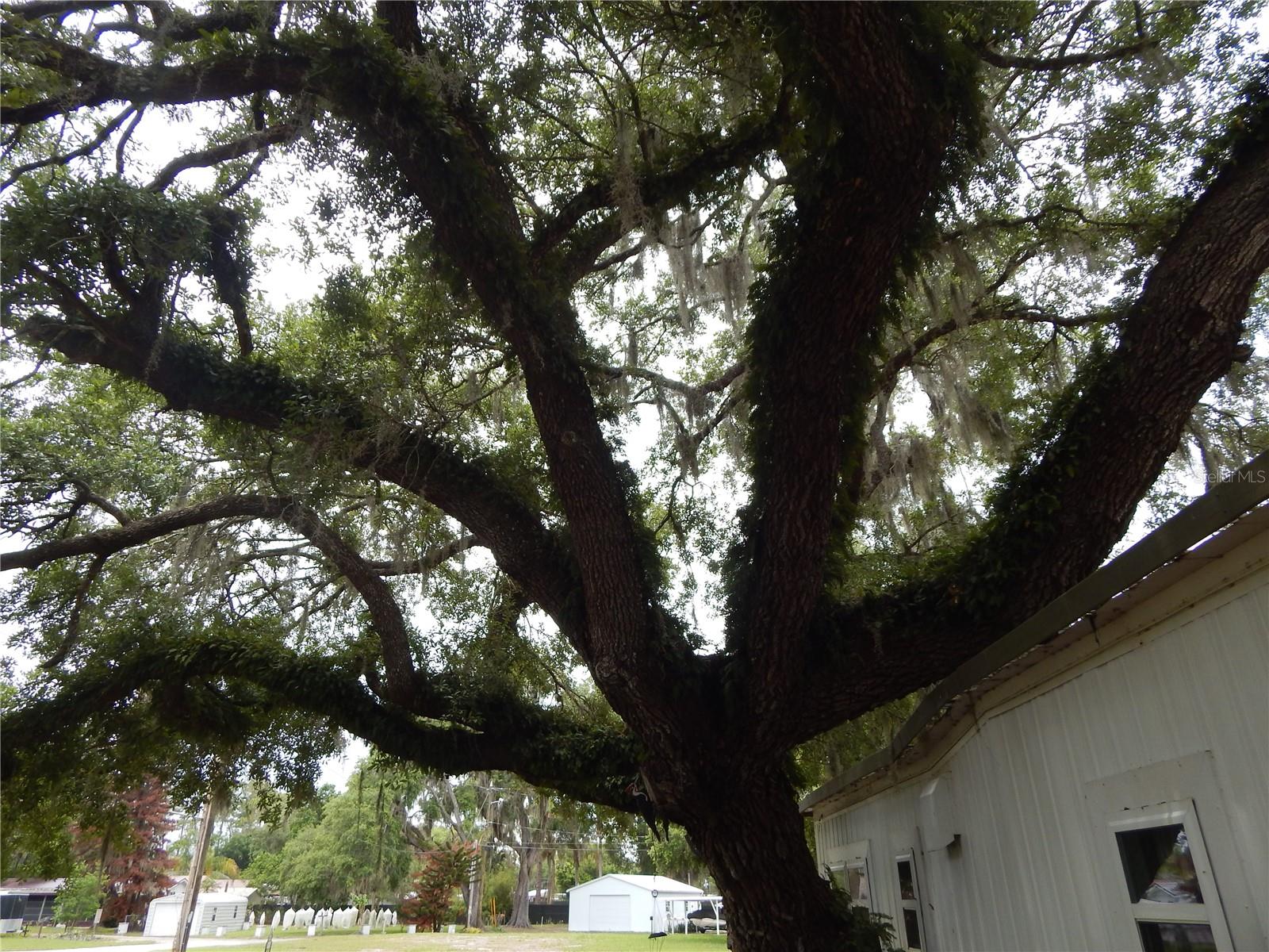 19 ANCHOR INN RD, LAKE WALES, FL — photo 21