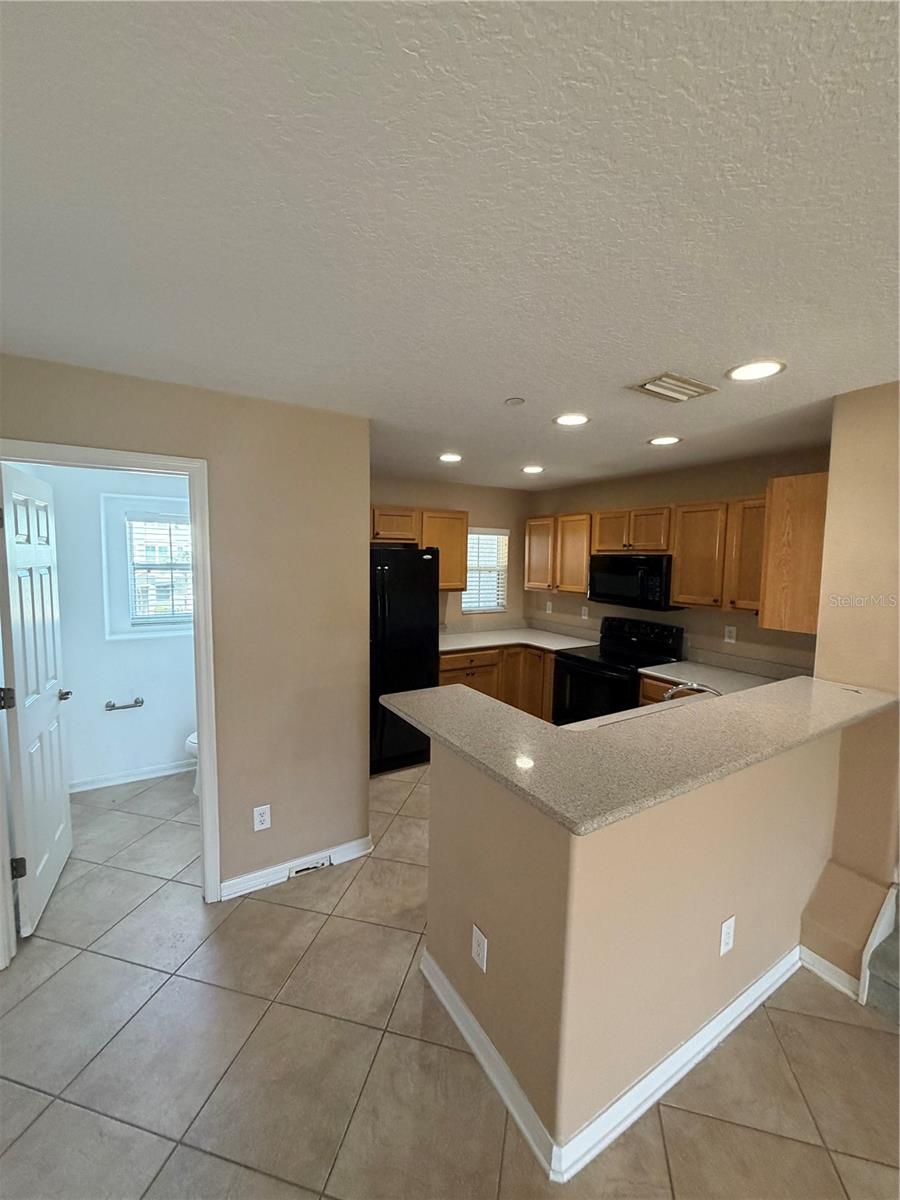 4817 TUSCAN LOON DR, TAMPA, FL — photo 8