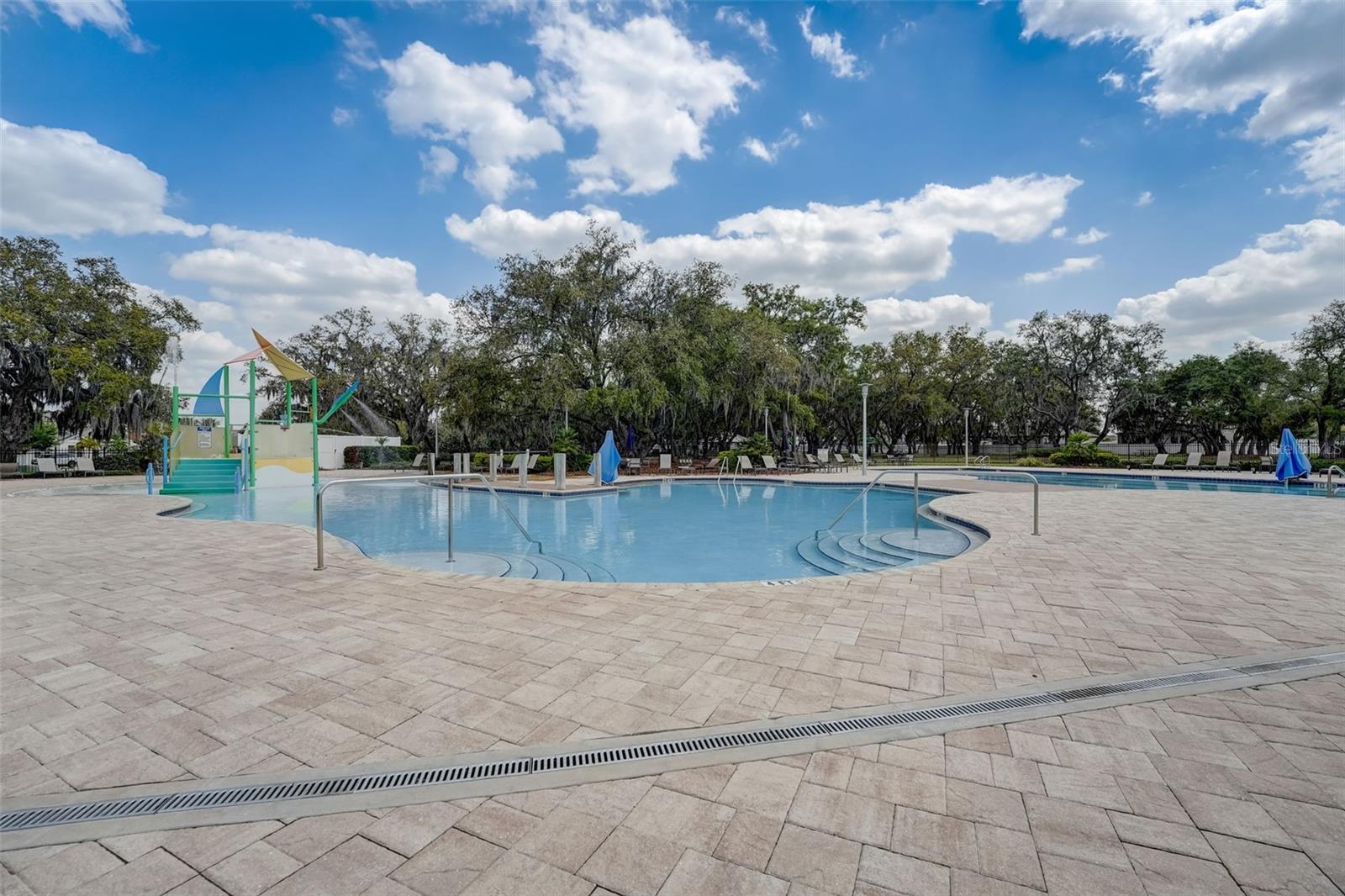 13106 FOXTAIL FERN DR, RIVERVIEW, FL — photo 72