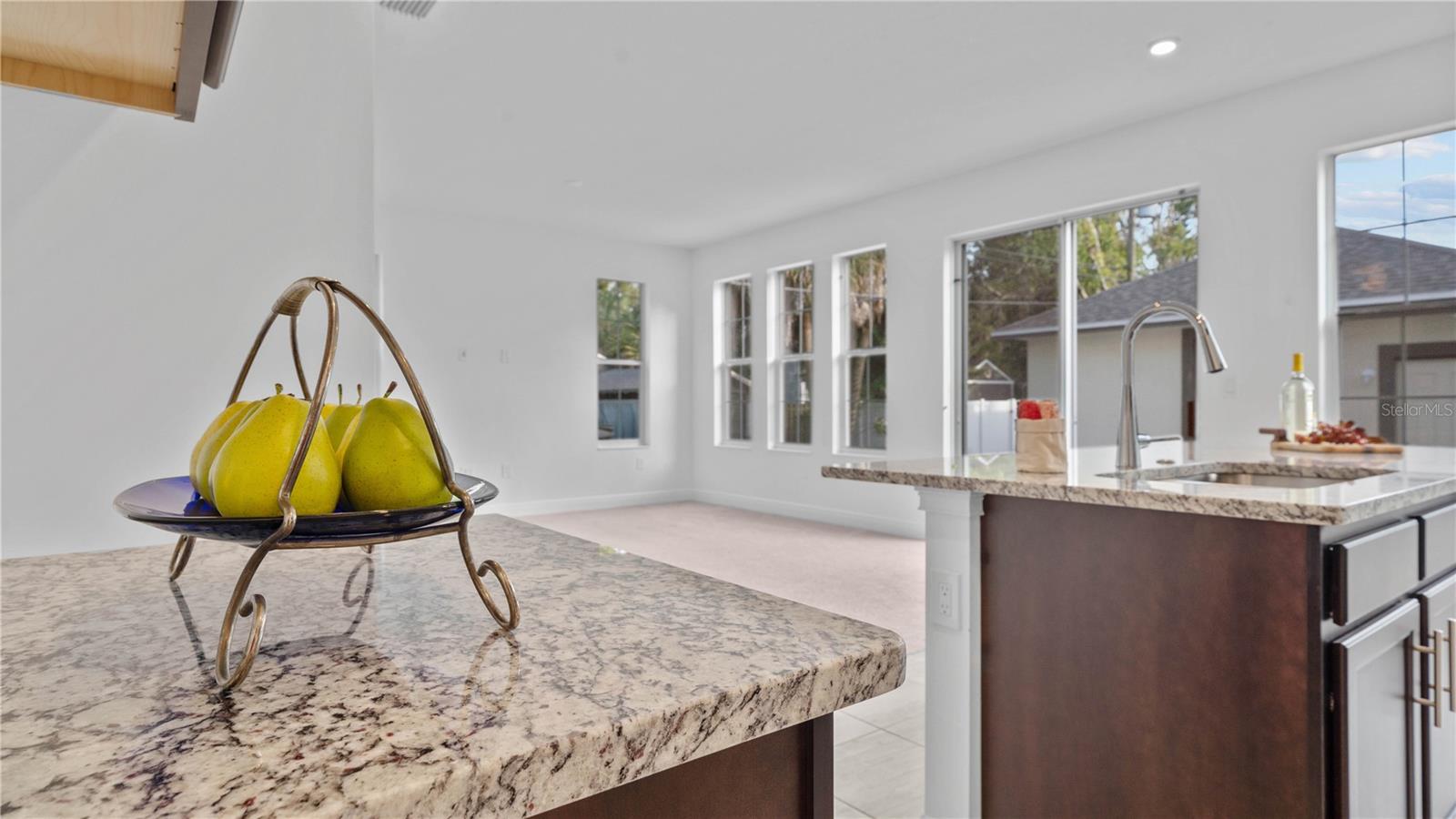 1156 37TH AVE N, ST PETERSBURG, FL — photo 37
